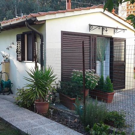 Da Lilly Apartment Λούκα Εξωτερικό φωτογραφία