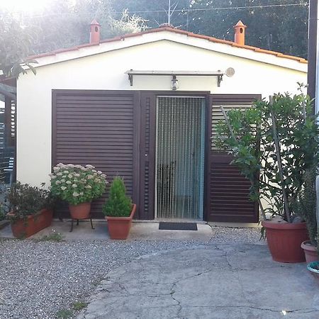 Da Lilly Apartment Λούκα Εξωτερικό φωτογραφία