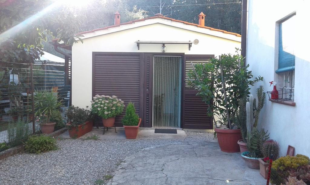Da Lilly Apartment Λούκα Εξωτερικό φωτογραφία